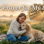 prayer for my dog