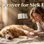 prayer for sick dog