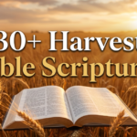 harvest bible scriptures